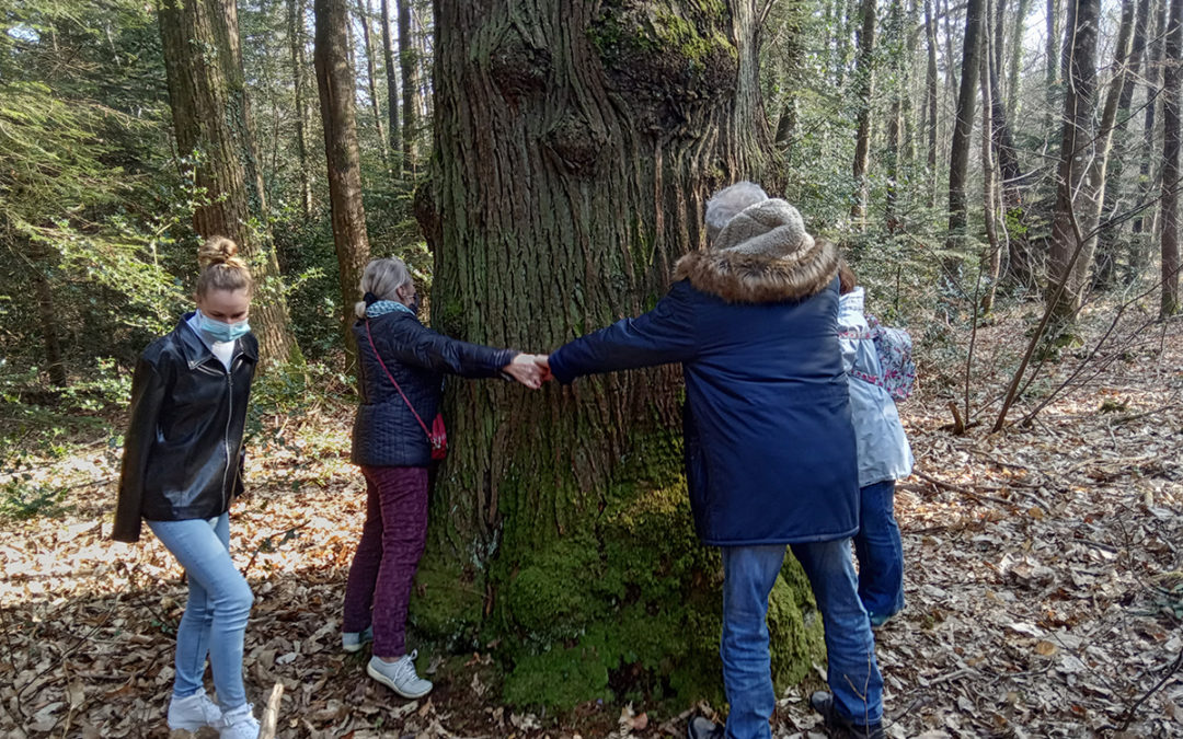 Course d’orientation au bois de plédran