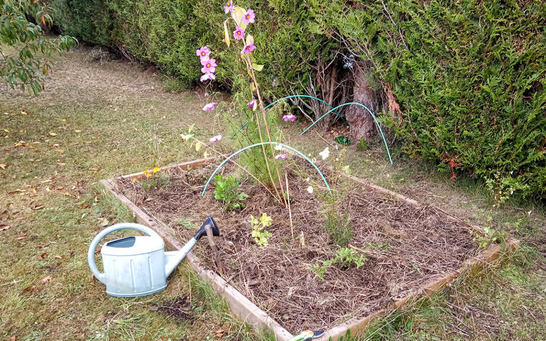 Au jardin chez Marie-Paule