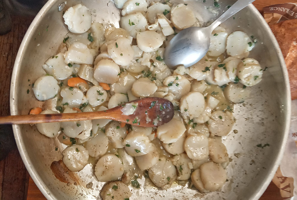 Sortie pêche a pied et assiette gastronomique