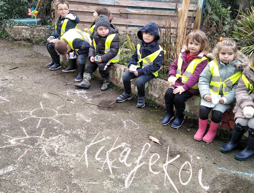 Les poussins au jardin