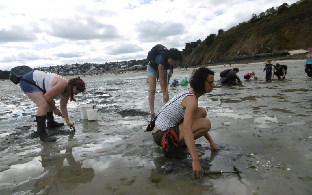 Sortie pêche à pied